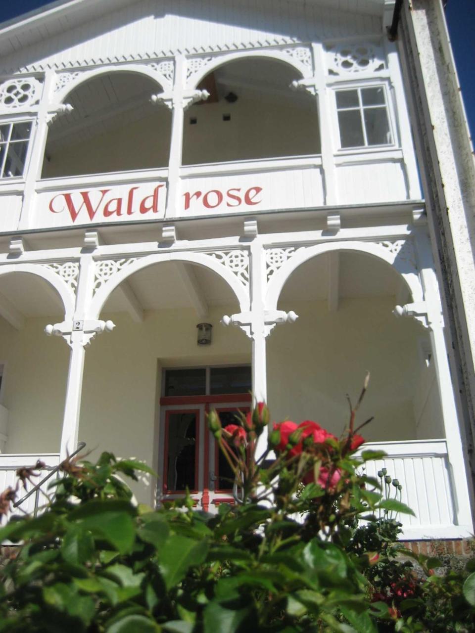 Pension Waldrose Sellin  외부 사진